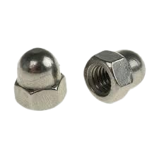 DOME-NUT-1.png